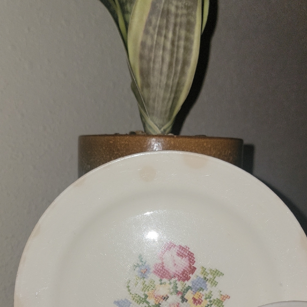Floral Pattern Dinner Plates - Cream - Picture 5 of 6